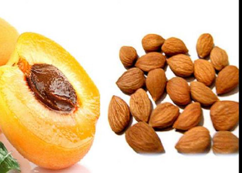 فاكهة صيفية صغيرة الحجم تقاوم الالتهابات وتفيد البشرة.. الحقها قبل ما تختفي