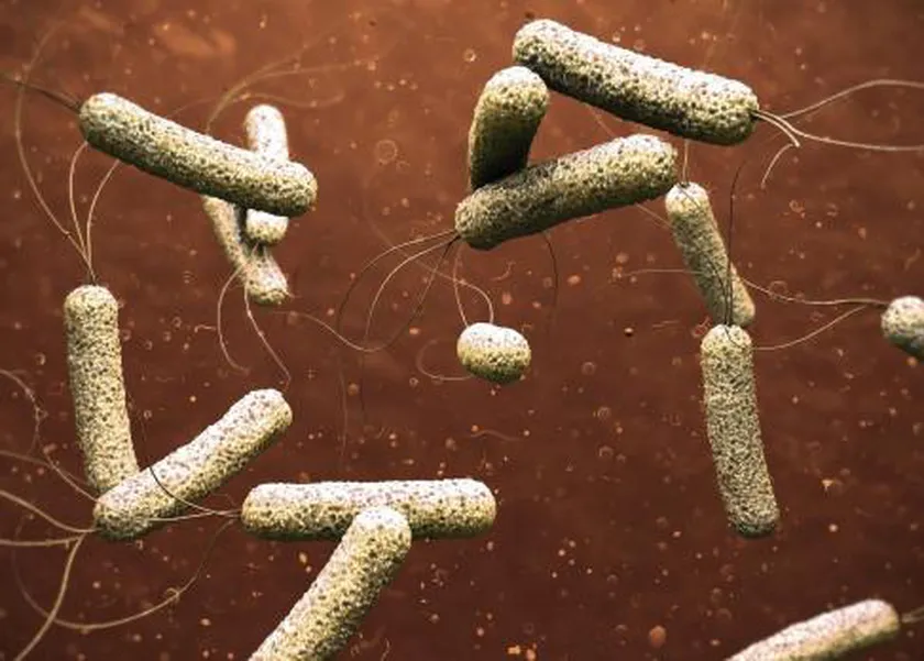 السودان يواجه عدوى بكتيرية تسبب مئات الإصابات.. إليك الأعراض وطرق الوقاية