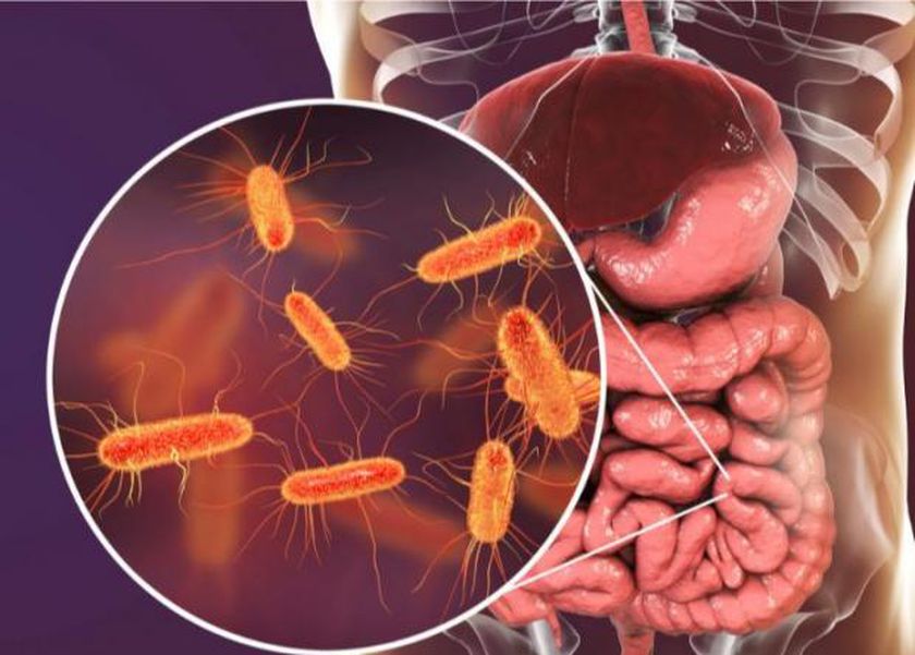 مكان غير متوقع في منزلك ينقل لك بكتيريا خطيرة.. كيف تحمي أسرتك؟