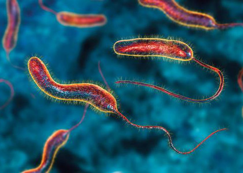 الكوليرا تتفشى في السودان.. اعرف أبرز الاعراض وطرق الوقاية