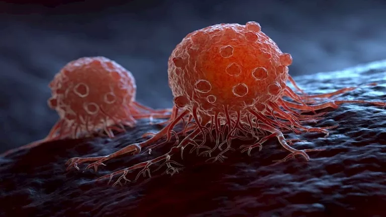 فاكهة تحارب السرطان وتقوي جهازك المناعي.. تحميك من الأمراض