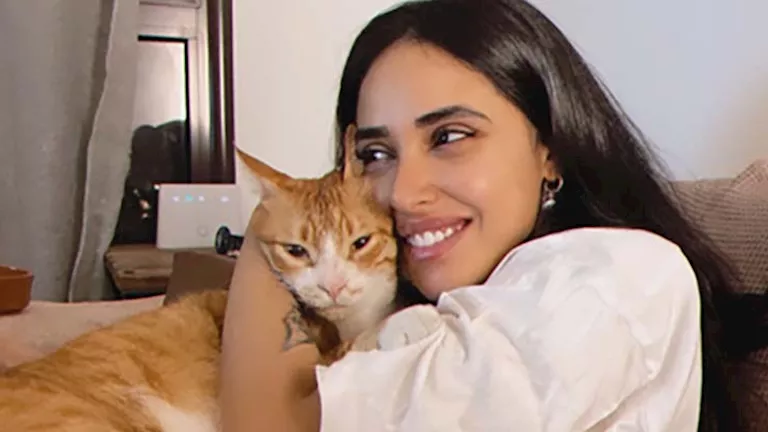 أية سماحة تعتذر للفنانة مشيرة إسماعيل: “هجومي المندفع بشكل متهور”