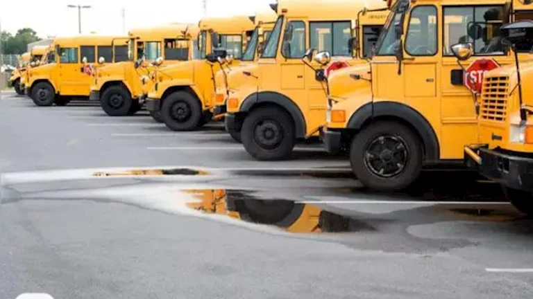 سبب طلاء أتوبيسات المدارس باللون الأصفر.. اعرف السر