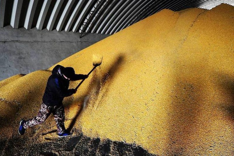 تنفيذ اتفاق يفتح الأسواق الروسية للحبوب أمام المستوردين المغاربة