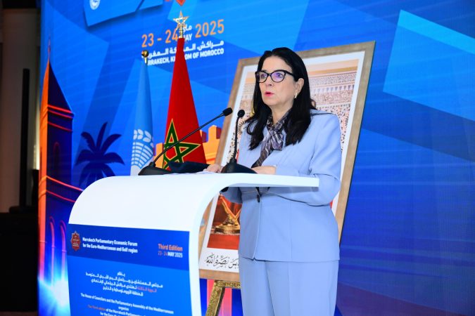 السغروشني: تموقع بلدنا غير بارز كفاية على مستوى الترتيب العالمي المرتبط بالذكاء الاصطناعي