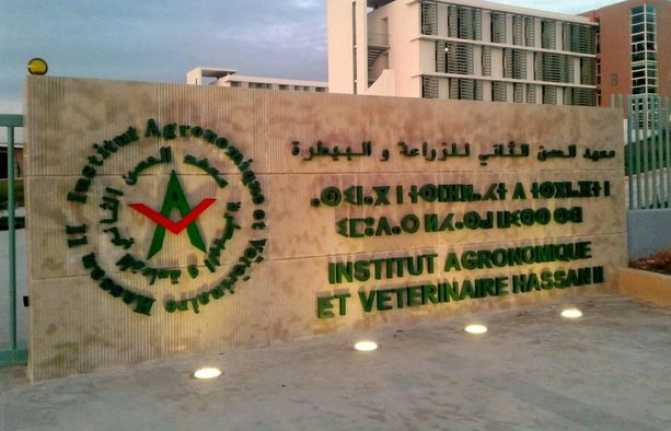 معهد الحسن الثاني للزراعة والبيطرة ضمن تعيينات جديدة صادق عليها مجلس الحكومة
