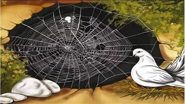 منها “الحمامة والعنكبوت”.. 4 مشاهد تاريخية عن الهجرة باطلة يكشفها باحث