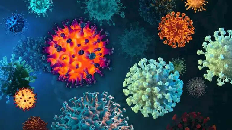 فيروس “نوروفيروس”.. كيف تحمي أطفالك من التسمم الجماعي؟