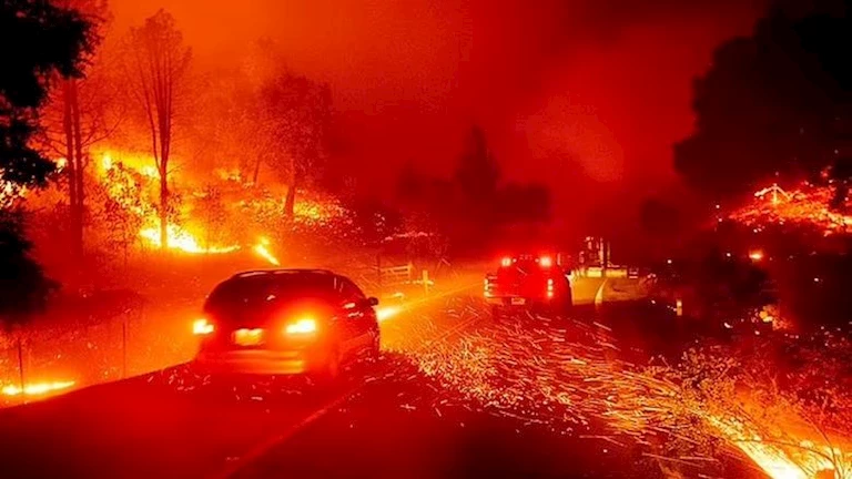 احذر.. دخان حرائق الغابات يزيد مخاطر الوفاة لمرضى سرطان الرئة