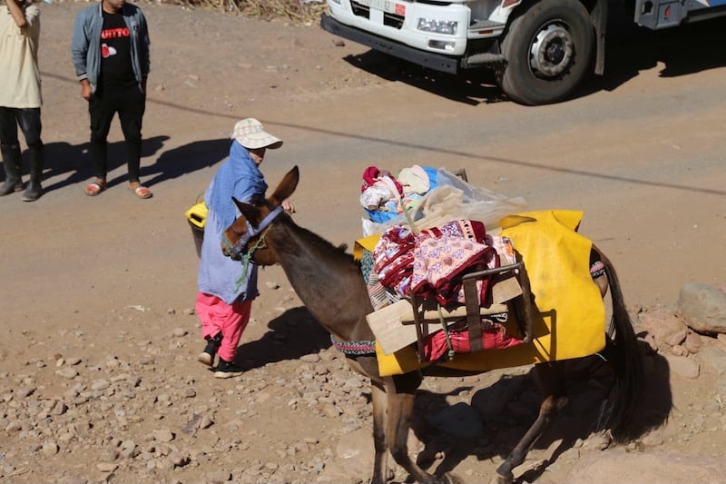 التنقيط المغربي يسجل التراجع في المؤشر العالمي لبيئة العمل الخيري