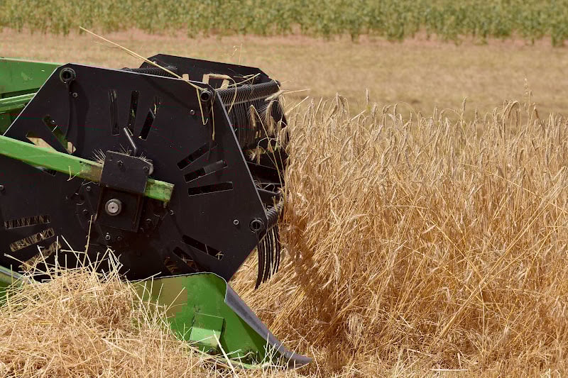 “القمح الأمريكي” تزور مطاحن المغرب