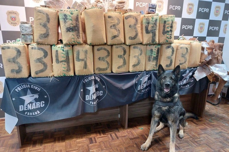 البرازيل تحبط تهريب حشيش مغربي