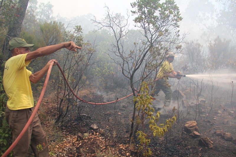 منابر المساجد تحسس بخطر الحرائق