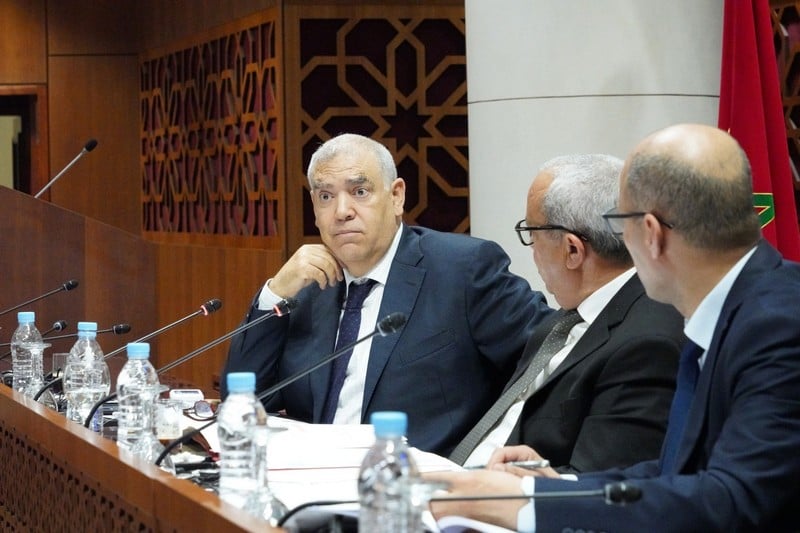 البيطار يشيد بتنزيل جبايات الجماعات