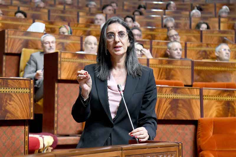 فتاح العلوي: عمليات المراقبة بالمغرب أتلفت أكثر من ألف طن من المنتجات