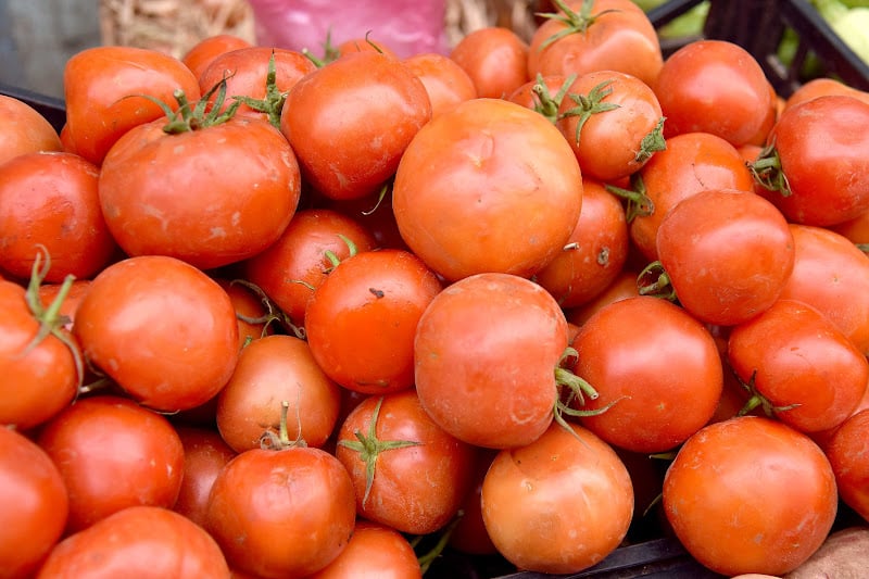 تنوع مناطق التزويد بالطماطم يخفض الأسعار في أسواق الجملة للخضر