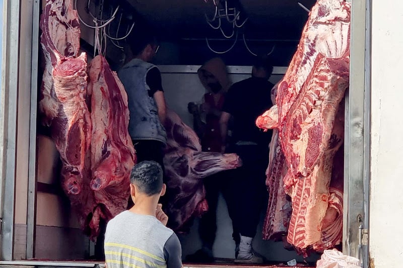 مغاربة وبرازيليون يبحثون تعزيز التعاون في استيراد الماشية واللحوم