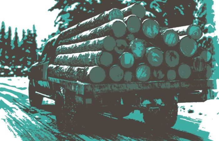 التحطيب بديلاً.. غابات لبنان تسقط ضحية أزمة الطاقة