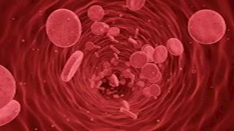 “جوادا سلبي”.. كيف اكتشف العلماء أندر فصيلة دم في العالم؟