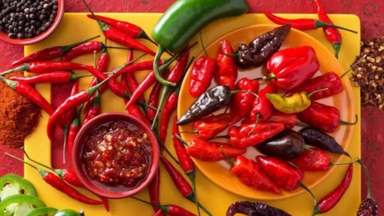 بتحب الشطة والأطعمة الحارة؟ هذا ما يحدث لجسمك عند تناولها يوميًا