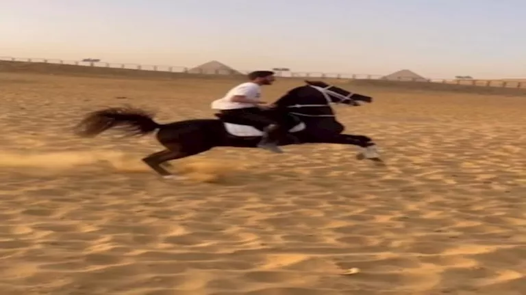 أبرز المعلومات عن نجل عصام الحضري