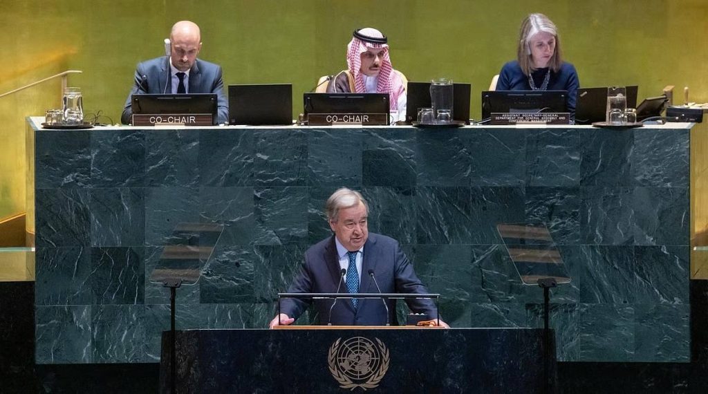 وزير الخارجية يعتمد وثيقة مؤتمر حل الدولتين