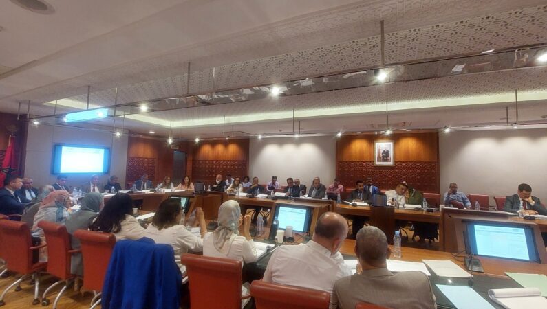 بنسعيد يرفض اقتراع اللائحة في « مجلس الصحافة »… وشهيد يحذر من « وأد » الوزير للنقابة الوطنية للصحافة