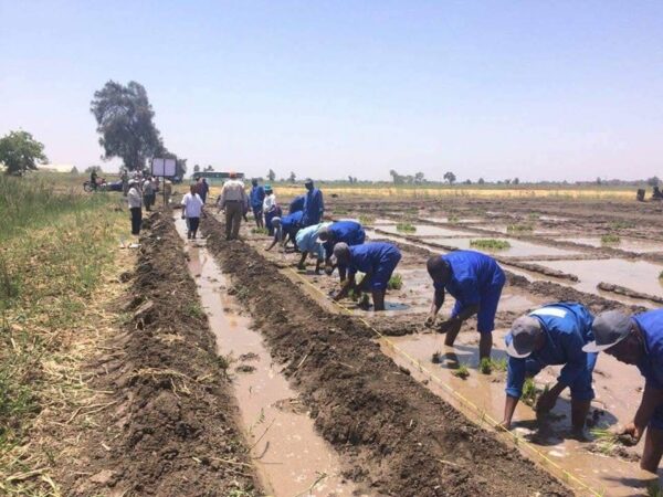 وكالة التعاون اليابانية تدعم التنمية في افريقيا بحوالي 160 مليون دولار