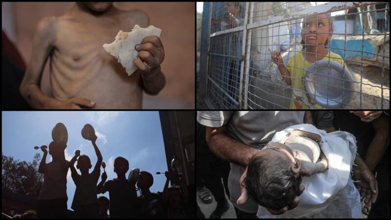 أطفال غزة بين الموت جوعا وأكل الرمال (قصص إنسانية)