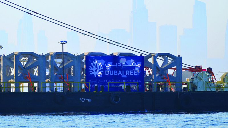 الشعاب البحرية ركيزة العمل البيئي والتنمية