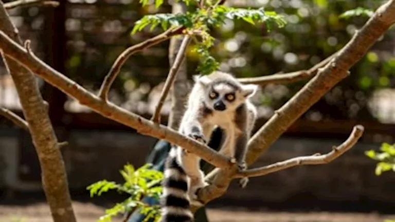 جولة في أعرق حديقة حيوان حول العالم وسط الحيوانات النادرة (فيديو)