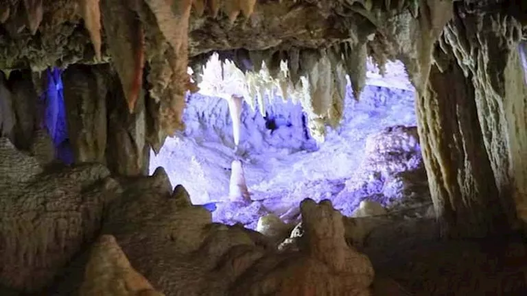 20 صورة لـ حكاية وادي سنور العجيب.. أسرار مصرية مدفونة منذ 40 مليون سن