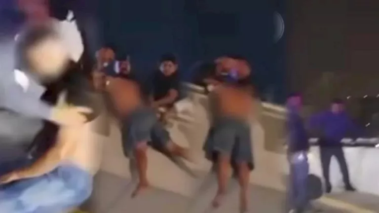 فيديو لشاب حاول الانتحار من أعلى جسر – لن تتوقع ما حدث