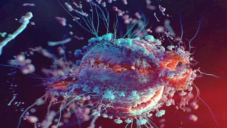 قبل موجة الإنفلونزا.. خطوات بسيطة تحميك من أمراض الخريف