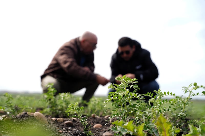 المغرب يدعو البرازيل لتعاون زراعي