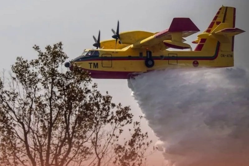 الجيش يتدخل لإخماد نيران بشفشاون