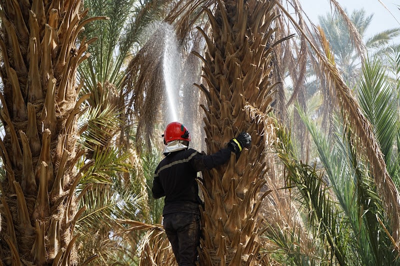 نشطاء ينادون بزيادة إطفائيي الواحات