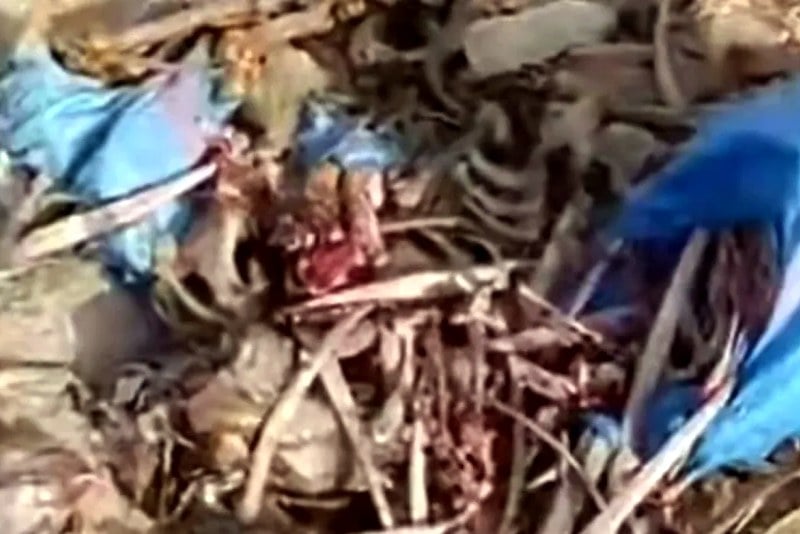 الحبس لصاحب فيديو “جماجم الحمير”