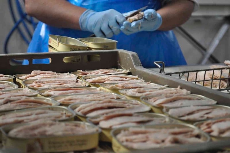 توالي الزيادات في أسعار “السمك المعلب” تسائل سلسلة الإنتاج بالمغرب