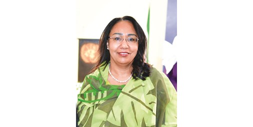 ممثل الأمين العام للأمم المتحدة التعددية والديبلوماسية من أجل السلام ضرورة وسط التحديات العالمية