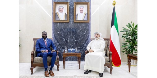 نائب وزير الخارجية يلتقي رئيس البعثة الإقليمية للصليب الأحمر والمدير الإقليمي للمنظمة الدولية للهجرة