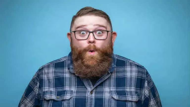 دجاجة عاشت بلا رأس.. أغرب 10 معلومات قد تغير نظرتك للعالم