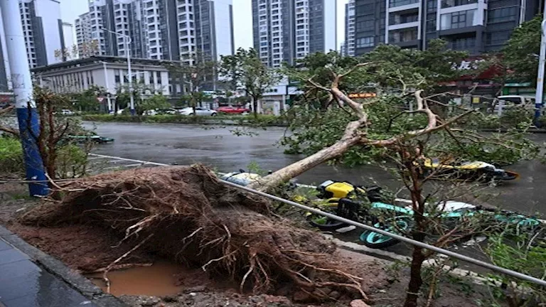 بعد تصدره محركات البحث.. 10 معلومات عن إعصار “راغاسا” الأقوى عالمياً