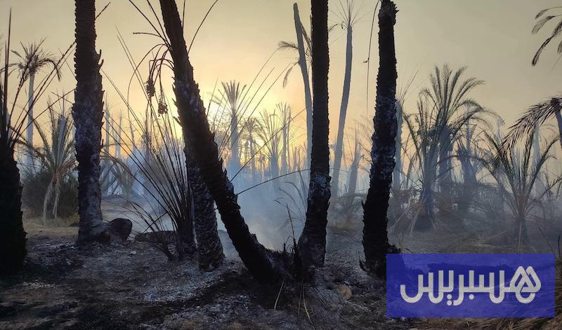 الجهود تتواصل لإخماد حريق تيكسلت