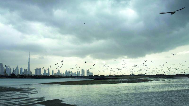 «الوطني للأرصاد» يتوقع سقوط أمطار