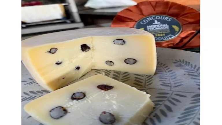 جبن بنكهة النمل.. منتج يثير الجدل