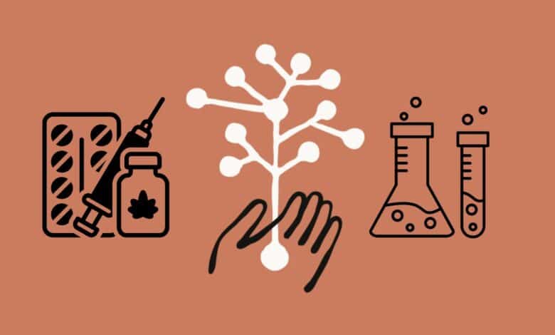 من البرمجة إلى البيولوجيا.. نماذج أنثروبيك تساعد العلماء في المختبرات الطبية