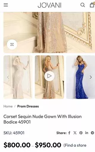 أنغام بـ علم مصر ولون ملكي في باريس (1)