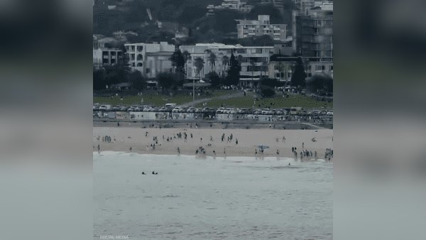 سيدني تحت النار.. قتلى وجرحى في هجوم مسلح أثناء احتفالات الحانوكا – النيل 24