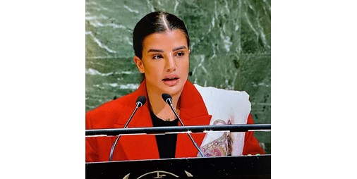 الكويت منع الإبادة الجماعية يتحقق بتعزيز سيادة القانون والمساءلة ومكافحة خطاب الكراهية